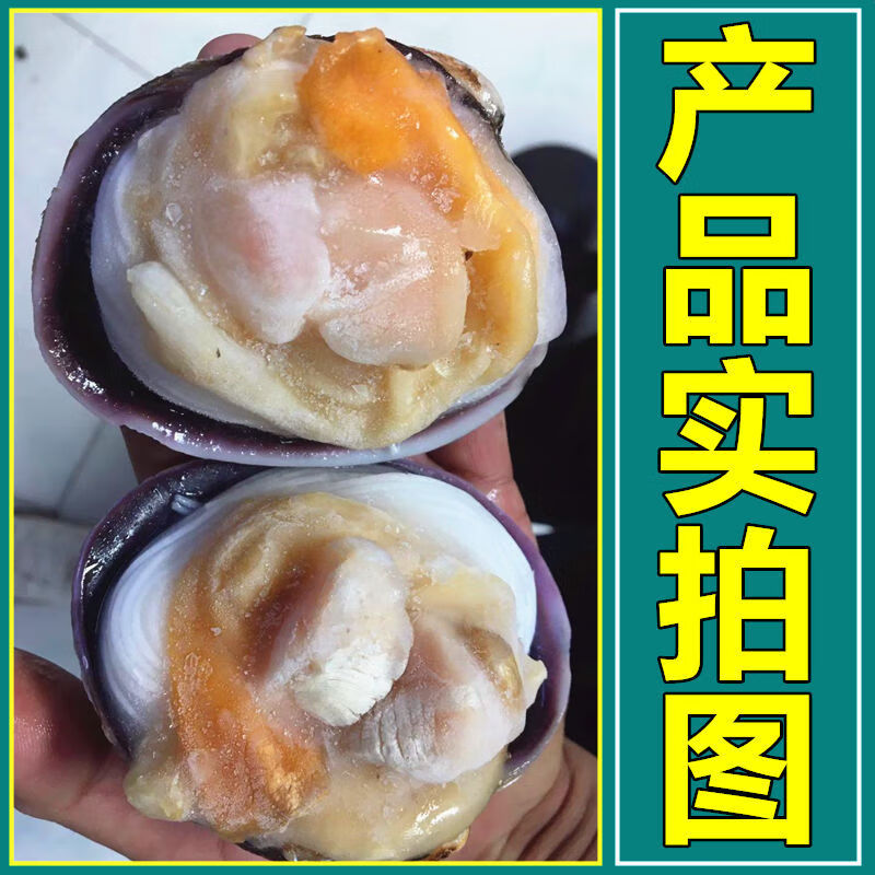 天鹅蛋贝50个粉丝天鹅蛋去内脏去沙大蛤蜊贝类新鲜烧烤冻品去壳去内脏