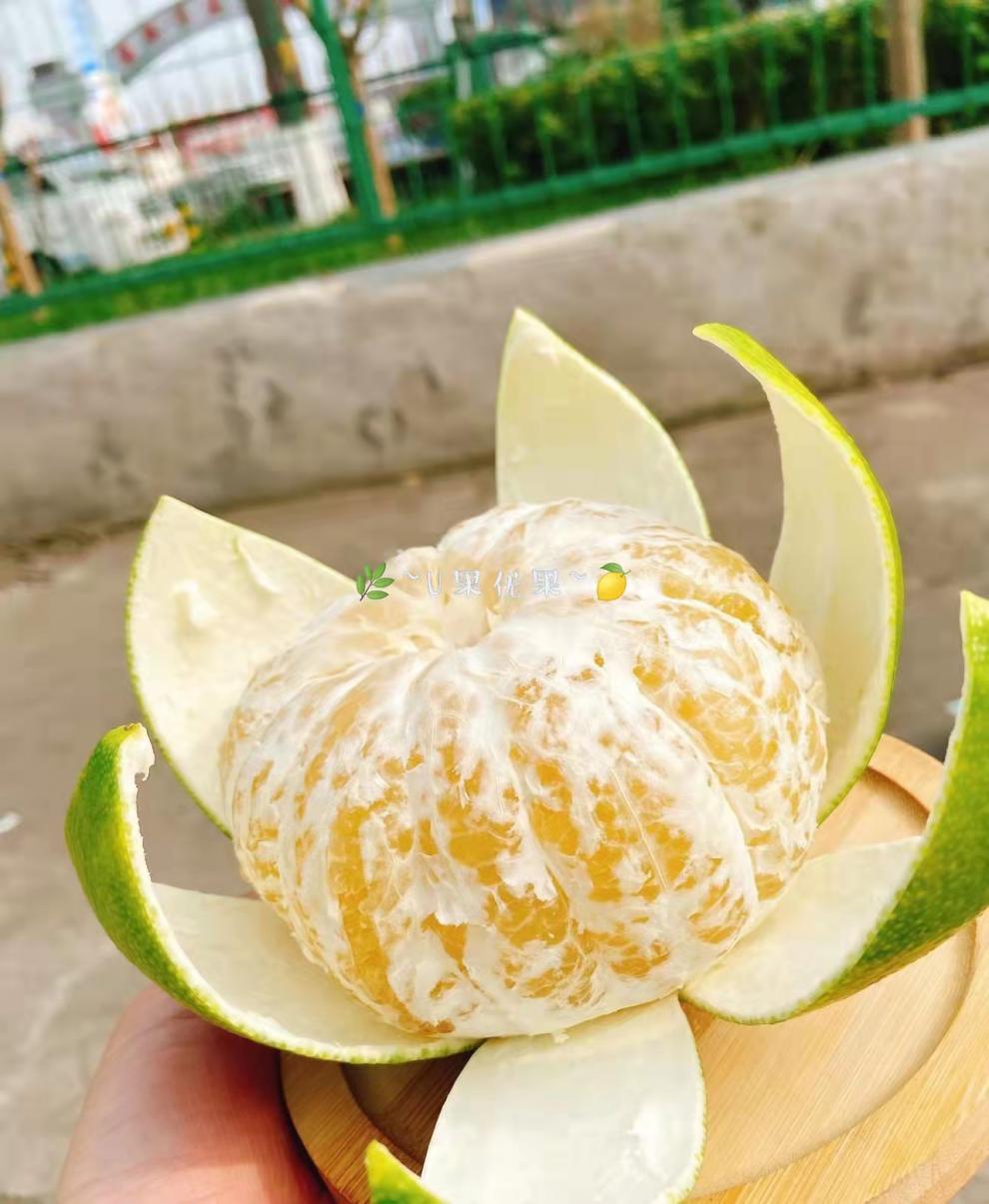 正宗青媛柚青柚子清香甜肉嫩多汁皮薄46粒礼盒装5斤5斤礼盒装