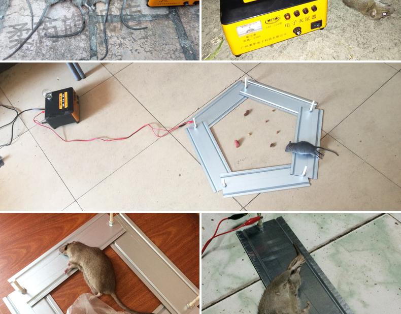 电猫捕鼠器高压电猫灭鼠器家用电子高压大功率自动捕鼠神器捉抓打老鼠