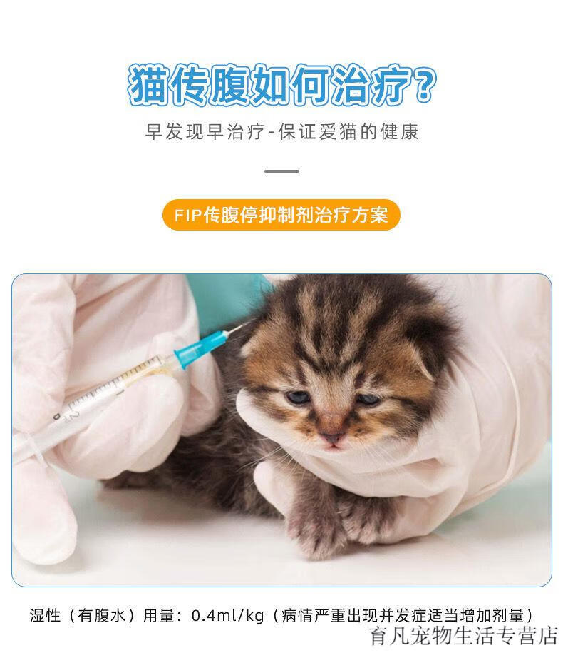 顺丰速运猫传腹药441针剂水口服片剂消腹水干湿性猫腹膜炎fipv剂检测