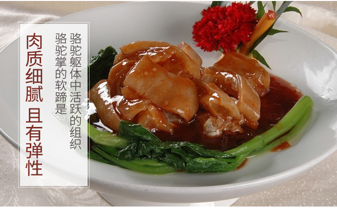 骆驼掌新鲜冷冻去骨半熟骆驼蹄子一只12斤左右沙漠特产16斤左右个1个