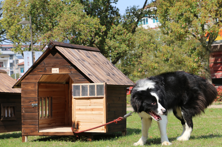 2022新款宠物别墅狗狗屋内狗房子 防雨防水户外实木炭化木狗屋狗窝猫