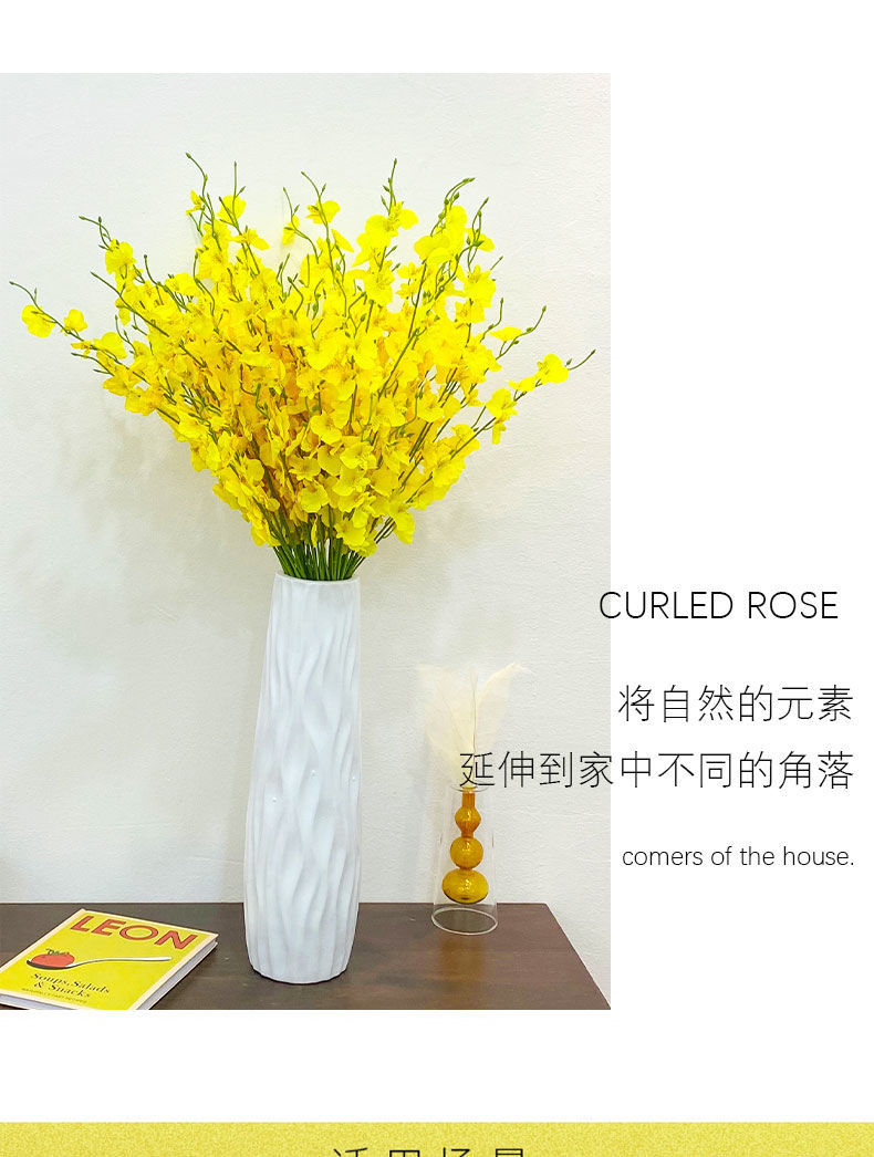 白色 长款跳舞兰10支(不含花瓶)【图片 价格 品牌 报价】-京东