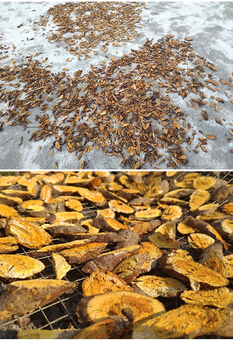 虎杖500g克花斑竹酸筒杆酸汤梗斑杖根可新鲜打粉野生干货中药材