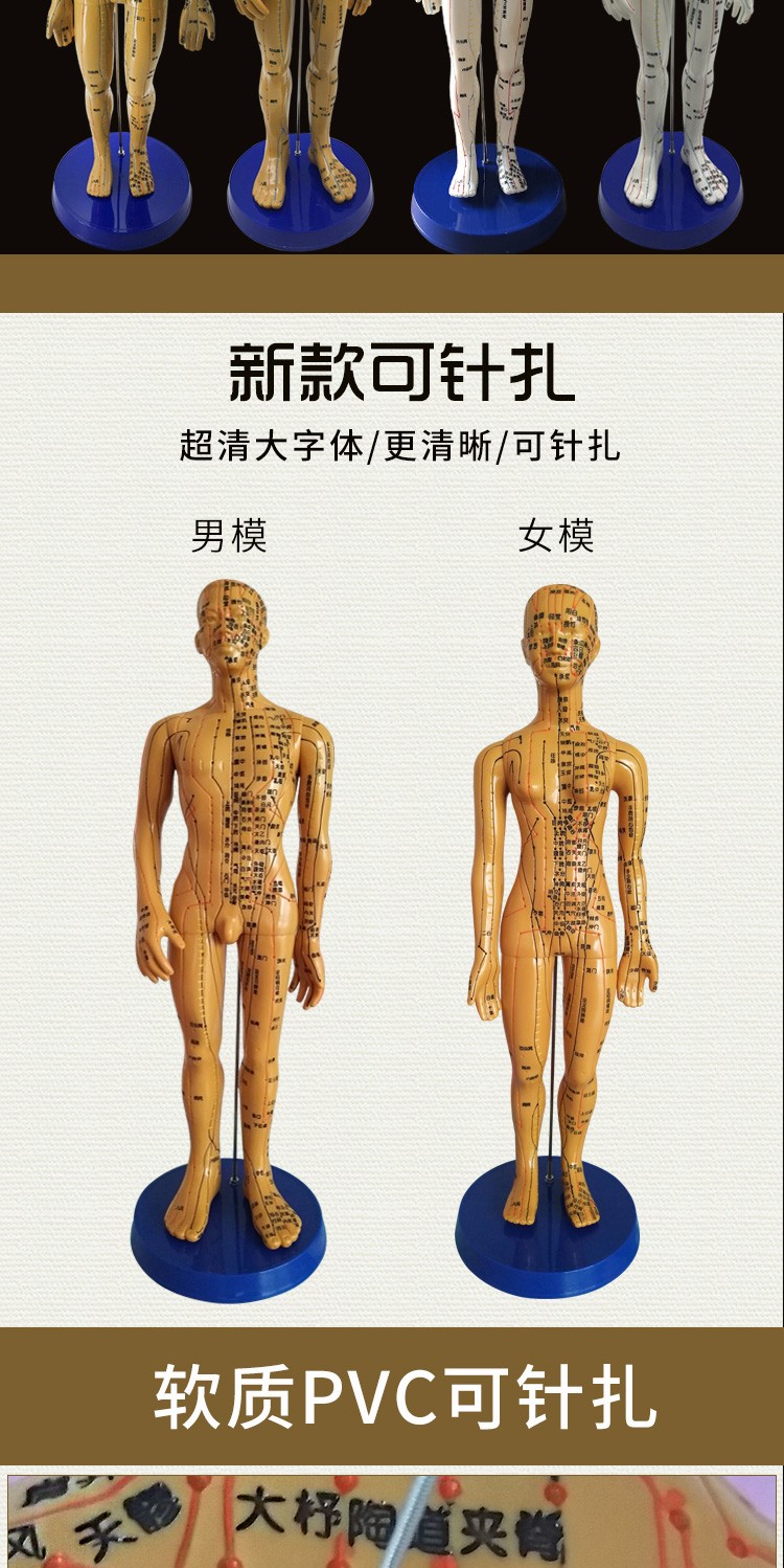 人体经络穴位模型中医用铜人模型全身男可扎针模女模医用教学模型经络