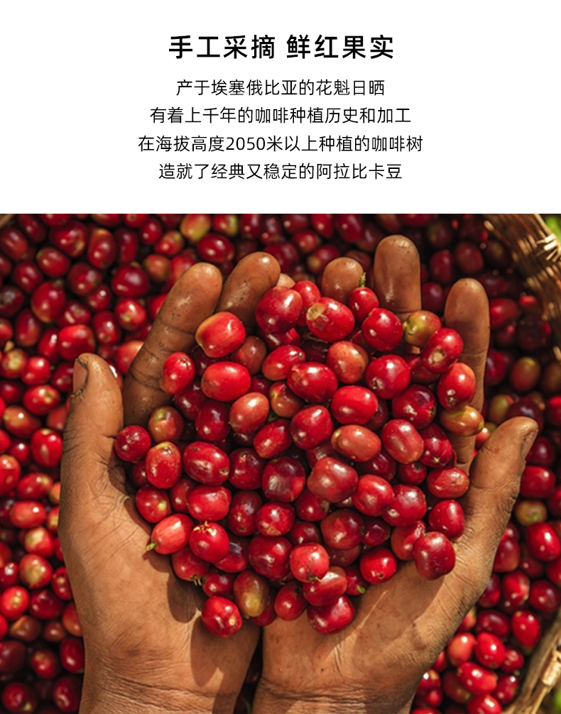 5折 日晒花魁精品咖啡豆埃塞俄比亚雪菲手冲单品烘焙可现磨粉 浅中