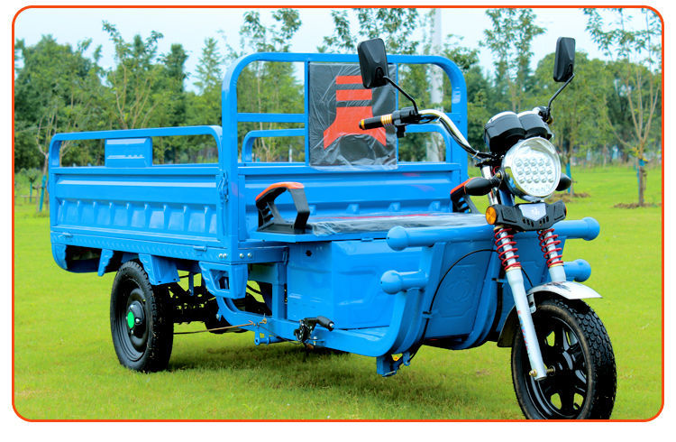 电动三轮车新款载重王农用三轮车拉货大功率加强款成人家用代步摆摊