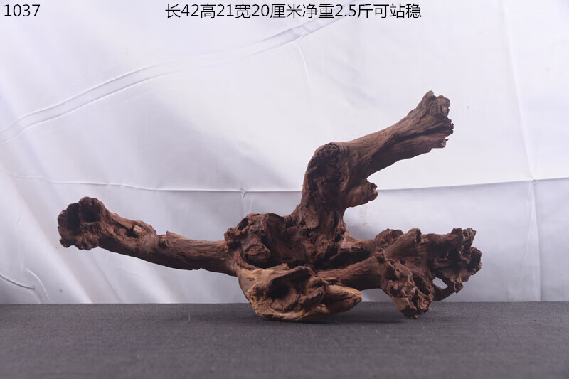 09be8d8371261d73.jpg