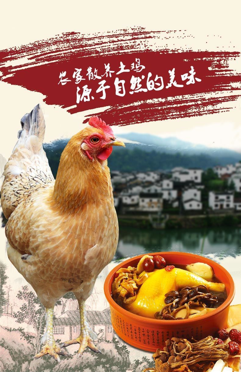 深山农场散养2-3年老母鸡土鸡柴鸡笨鸡草鸡月子鸡走地鸡整鸡肉 丽鲜
