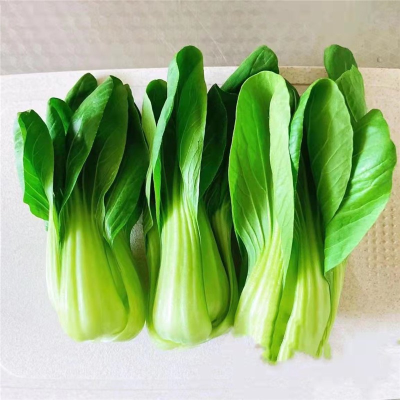 小青菜农家露天新鲜青菜小小青菜现摘发货时令菜2500g1500g