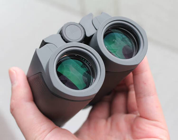 蔡司望远镜德国德国zeiss蔡司陆地10x25ed镜片高清口袋便携双筒望远镜