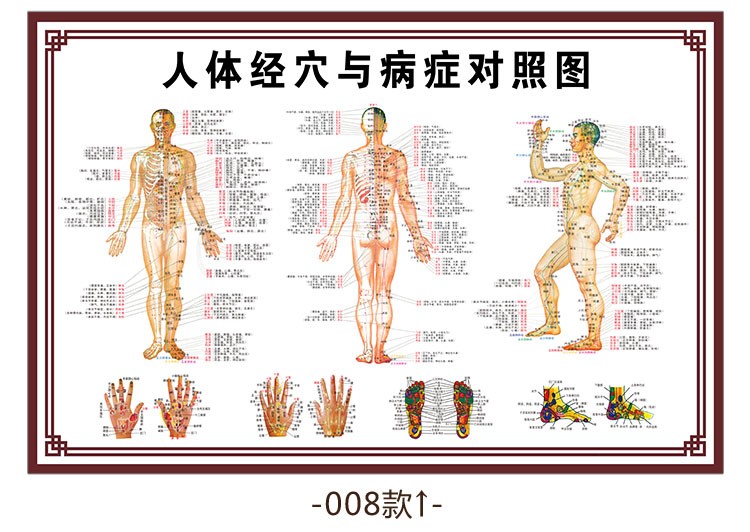 新品中醫養生人體經絡穴位圖大掛圖全身高清推拿按摩針灸海報001綠色