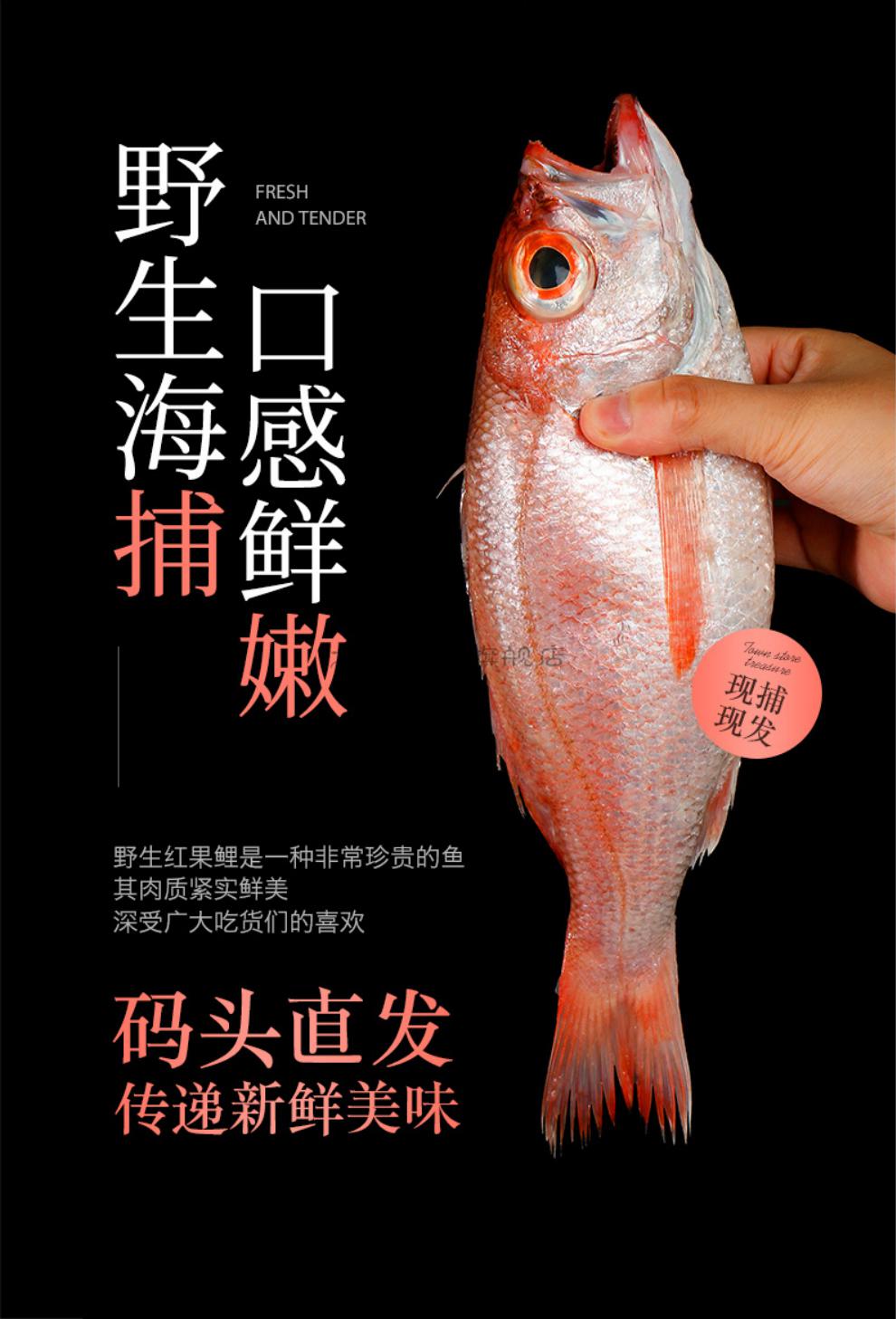 九河灌海旗舰店红果鲤新鲜速冻野生捕捞深海东海赤鯥鱼黑喉鱼3斤实惠