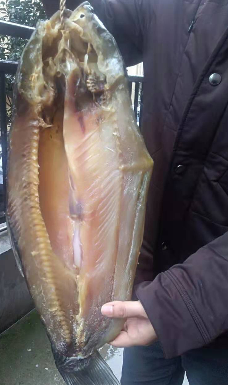 2-5斤多就饭香活鱼腌制风干大鱼 5斤半左右大咸鱼干一条【图片 价格
