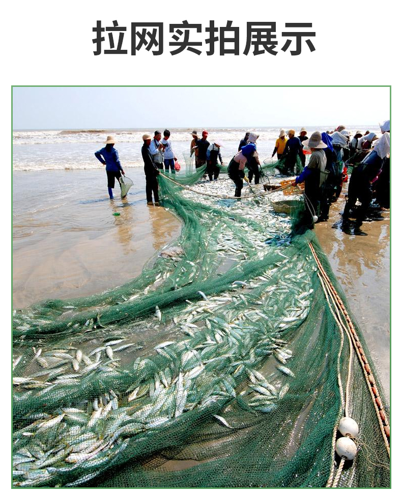 渔网定做超长拉网拉鱼网鱼塘隔断网鱼塘围网海洋拦污网定制加粗款12股
