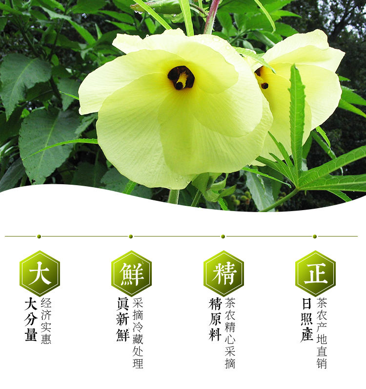 5折山锦葵山锦葵花草茶100g装人工采摘晾晒安全放心茶茶