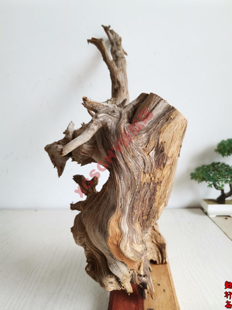 可狄2022款2022新款pvc内牙活接太行崖柏摆件根雕崖柏毛料原料陈化料