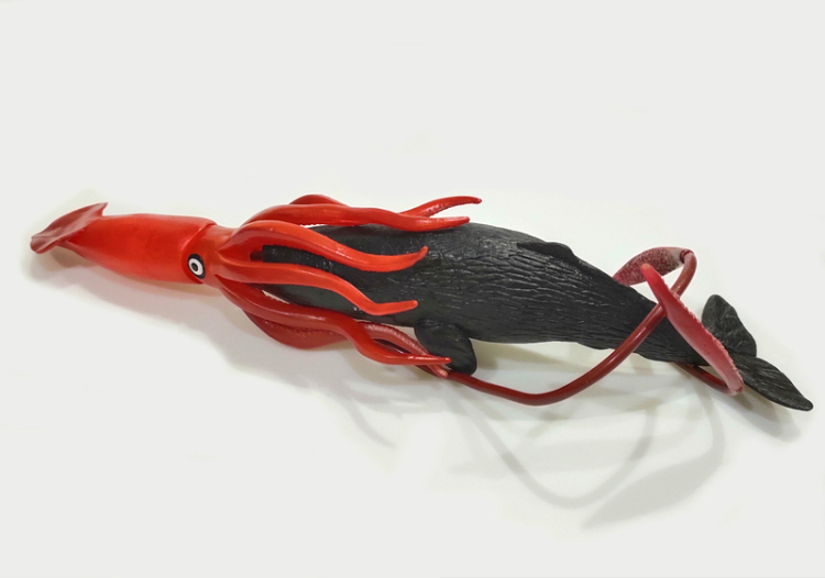 模型鱿章鱼鱿鱼八爪鱼模型巨型枪酸浆海洋玩具蓝鲸大号巨乌贼母子