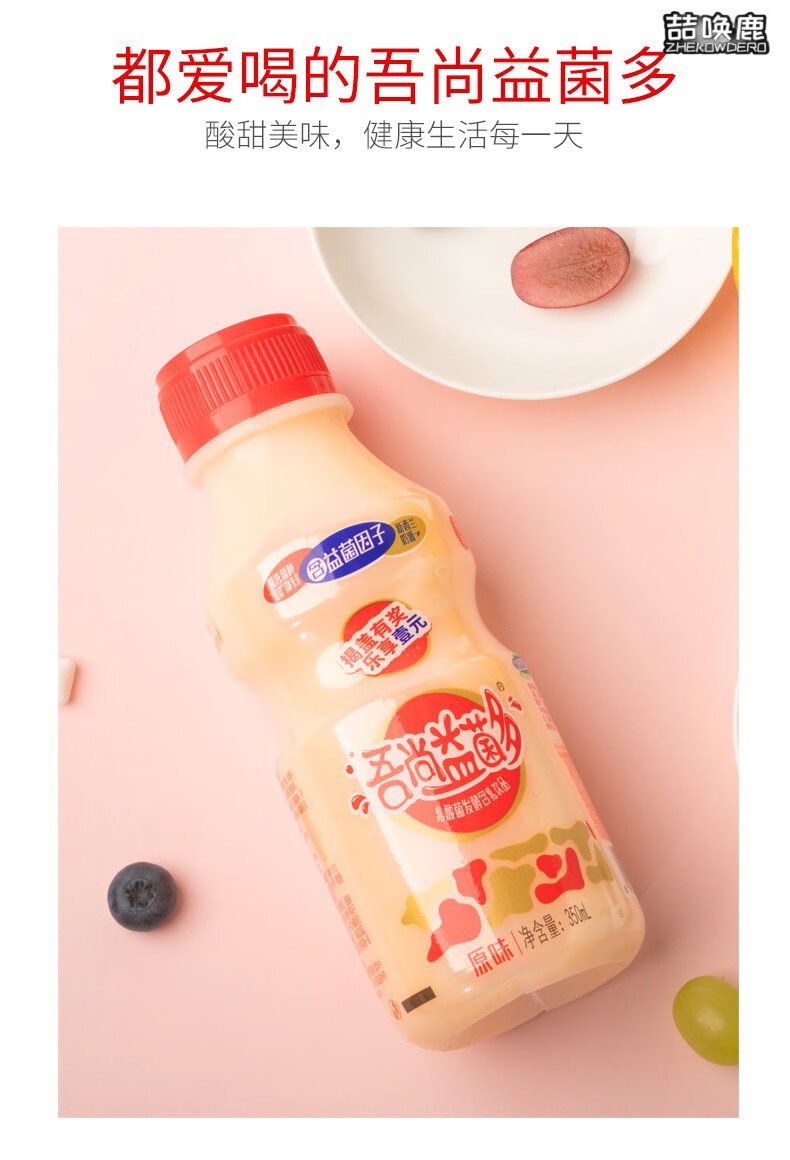 吾尚乳酸菌大瓶饮料整箱营养早餐奶消化新西兰奶源新货乳酸菌350ml10