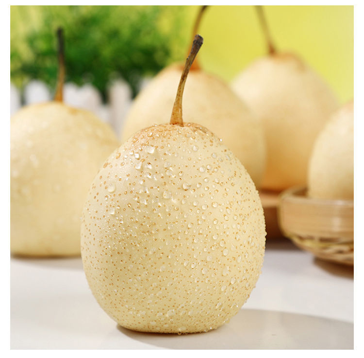 悠妃河北鸭梨 水晶梨水果梨子批发新鲜 5斤【实惠装】【图片 价格