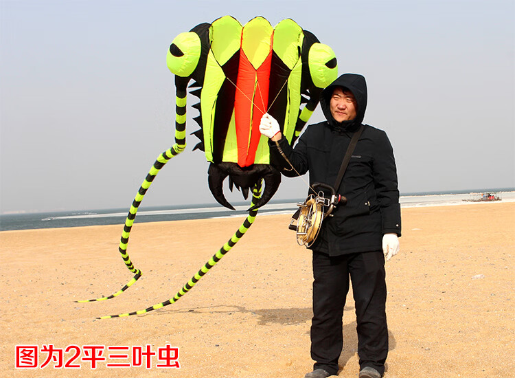 马老四风筝青州马老四风筝经典参赛级三叶虫伞布易飞大型软体立体风筝