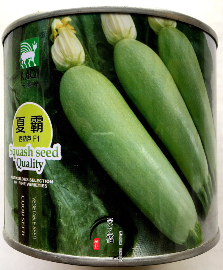 高产西葫芦种子小南瓜种子占瓜种子角瓜种子农家大田蔬菜阳台种籽时