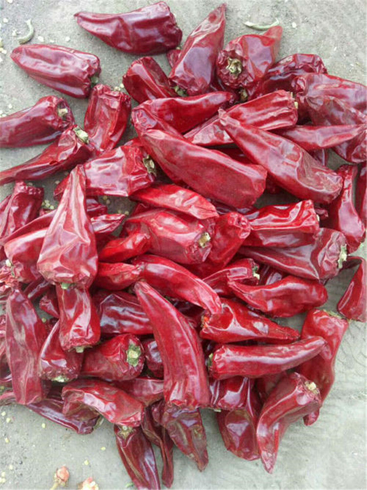 5-5斤 红不辣-铁皮大板椒【中粗粉】 250克(半斤)尝鲜装【图片 价格