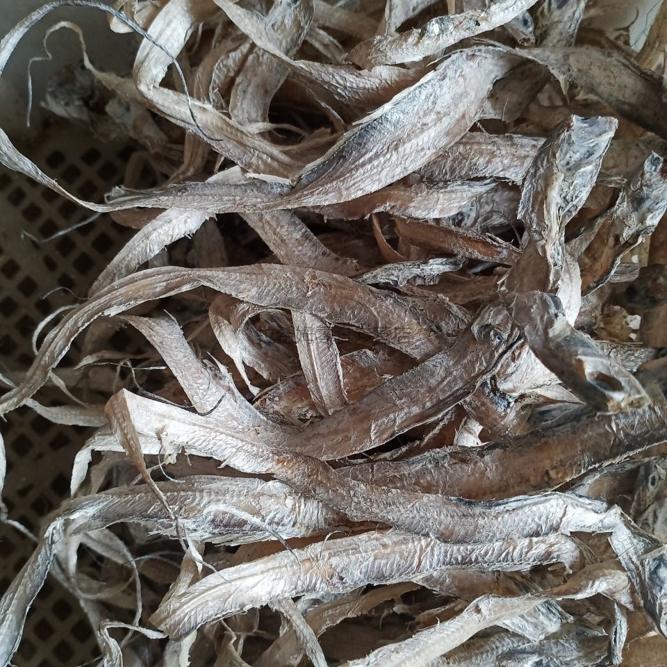 小带鱼干舟山特产淡晒微咸带鱼丝烤鱼干货去头去肚10成干 微咸带鱼干