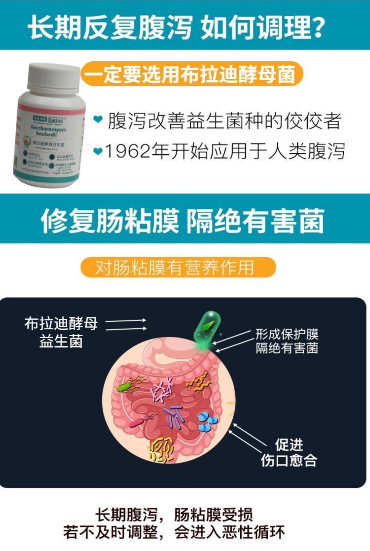 新宠之康 狗狗猫咪软便拉稀腹泻拉肚子布拉迪酵母益生菌幼猫犬呕吐