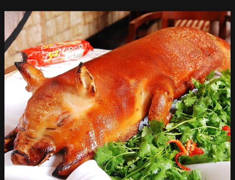 乳猪整只56斤左右新鲜奶猪酒店烧烤脆皮烤乳猪乳猪整只56斤装