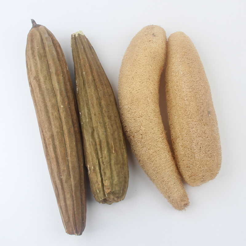 丝瓜瓤丝瓜瓤刷碗刷锅带皮老丝瓜络煮水喝中药材下