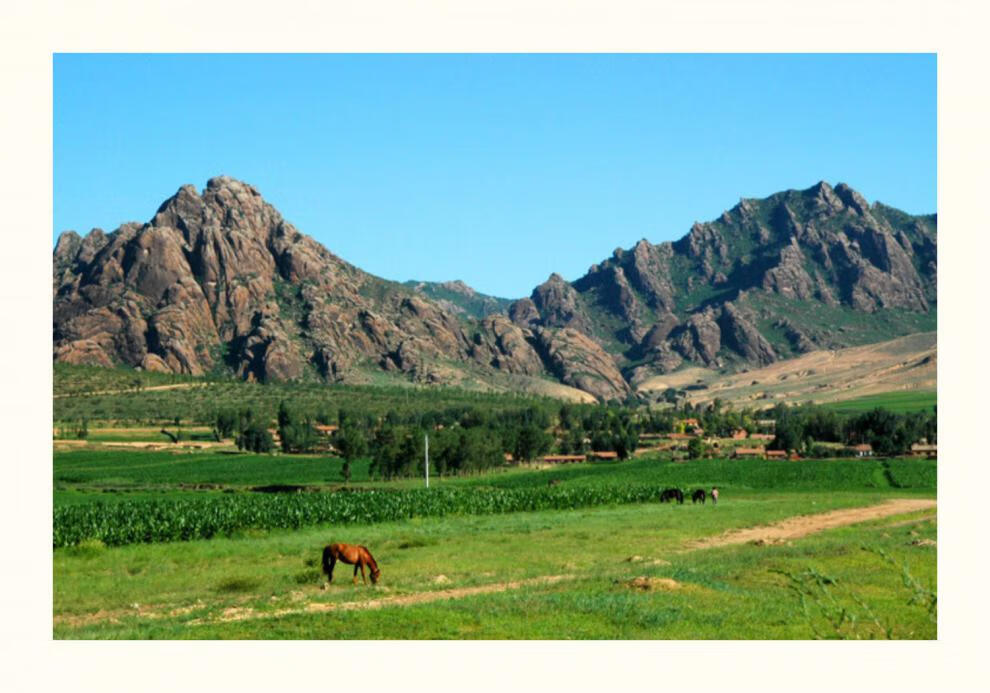 哈拉海速冻山野菜内蒙古赤峰克旗野菜干东北哈拉海饭店用腌制哈拉海