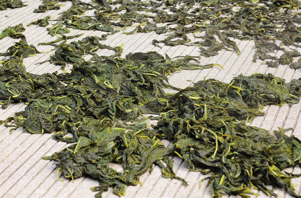 干芝麻叶农家晒制干菜野菜芝麻油叶子新货河南特产芝麻叶面条干菜