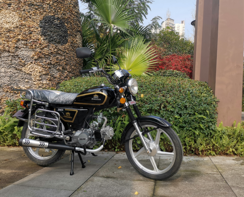 燃省油助力车jl70嘉陵建设款两轮摩托110c排量弯直梁老人代步外卖红色