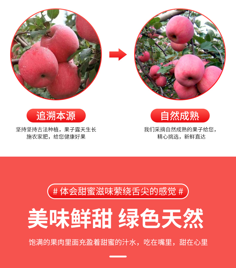 【甘肃雪原苹果】红富士水果新鲜脆甜当季整箱现摘天水萍果冰糖心丑