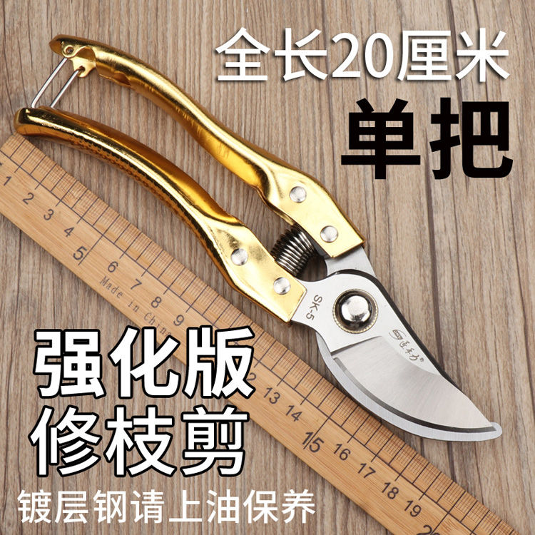 0b3503846cb5e3ca.jpg