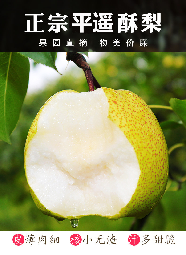山西平遥冰糖酥梨皮薄脆甜多汁大梨贡梨雪梨连箱10斤左右大果精品小果