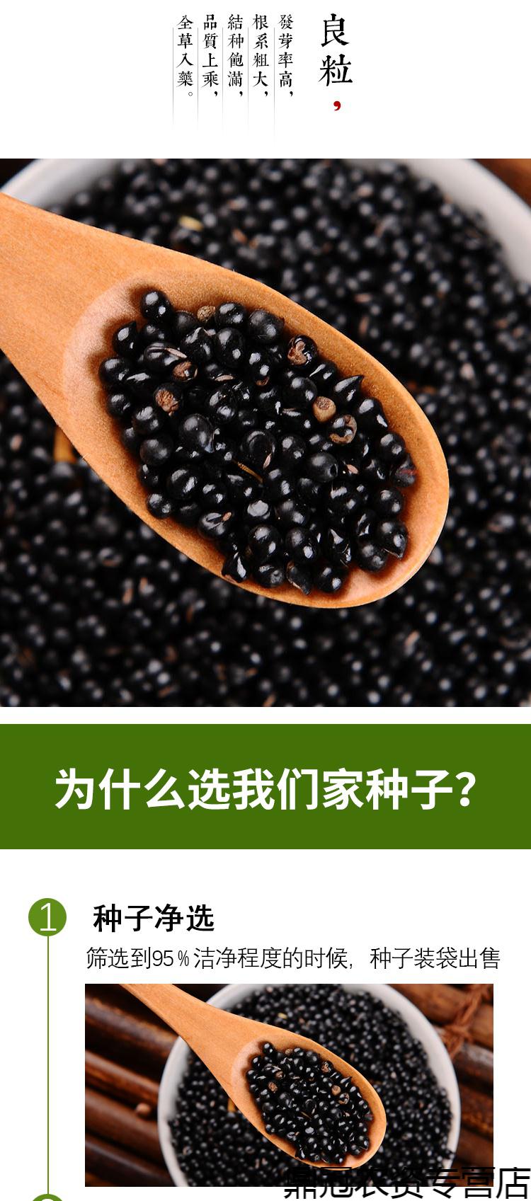 白鲜皮种子新采药材种籽春秋播种八股牛山牡丹羊鲜草中草药种子一斤