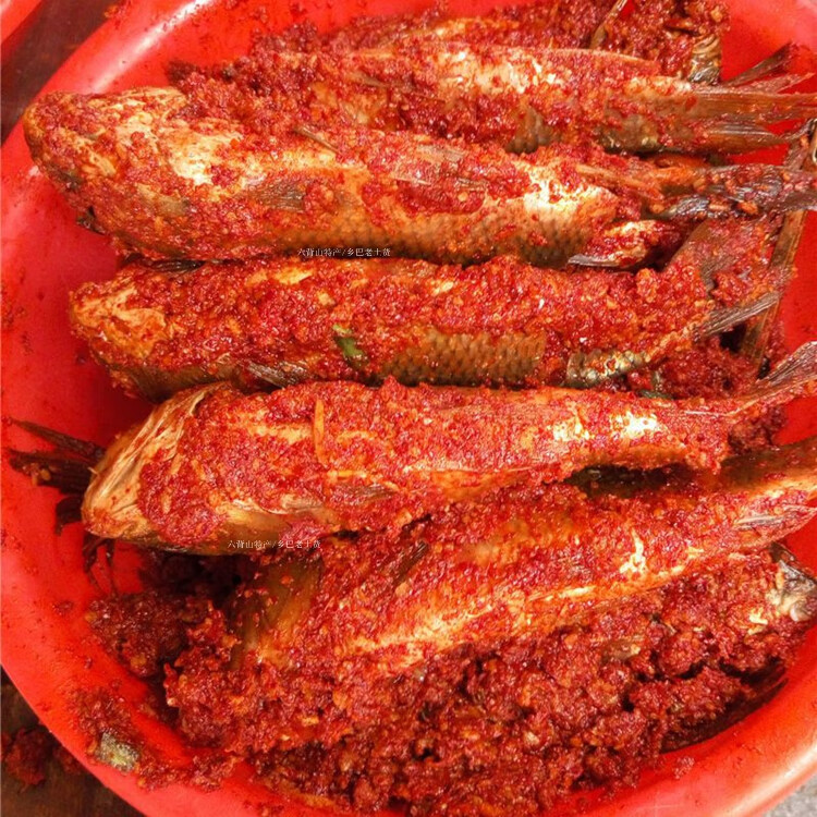 红色稻花鱼图片