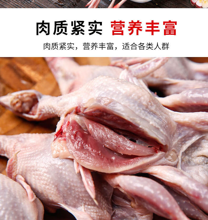 40只大号母鹌鹑新鲜鹌鹑肉速冻白条鹌鹑烧烤油炸鹌鹑现杀批发新鲜5只