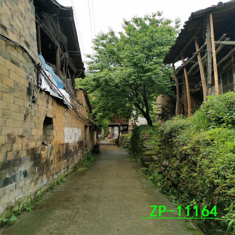 ec65a2d8-05c1-4d84-9c43-6da29d6324d4.jpe