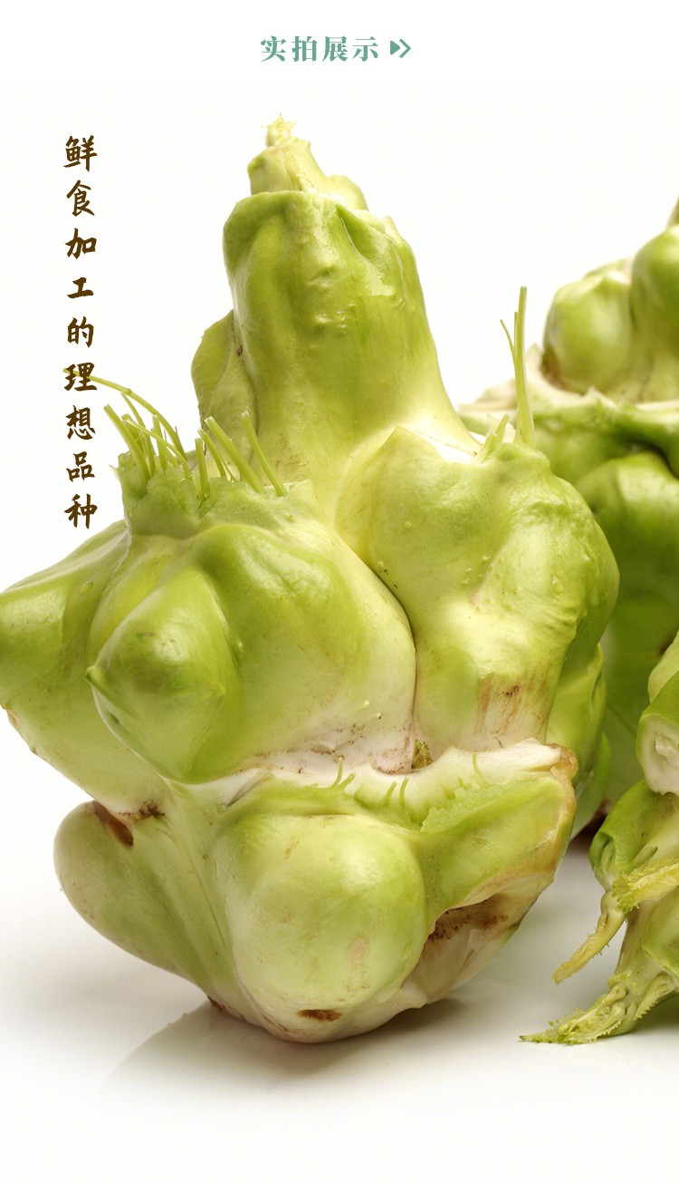 四川榨菜种子芥菜疙瘩蔬菜科兴榨菜种子8g袋