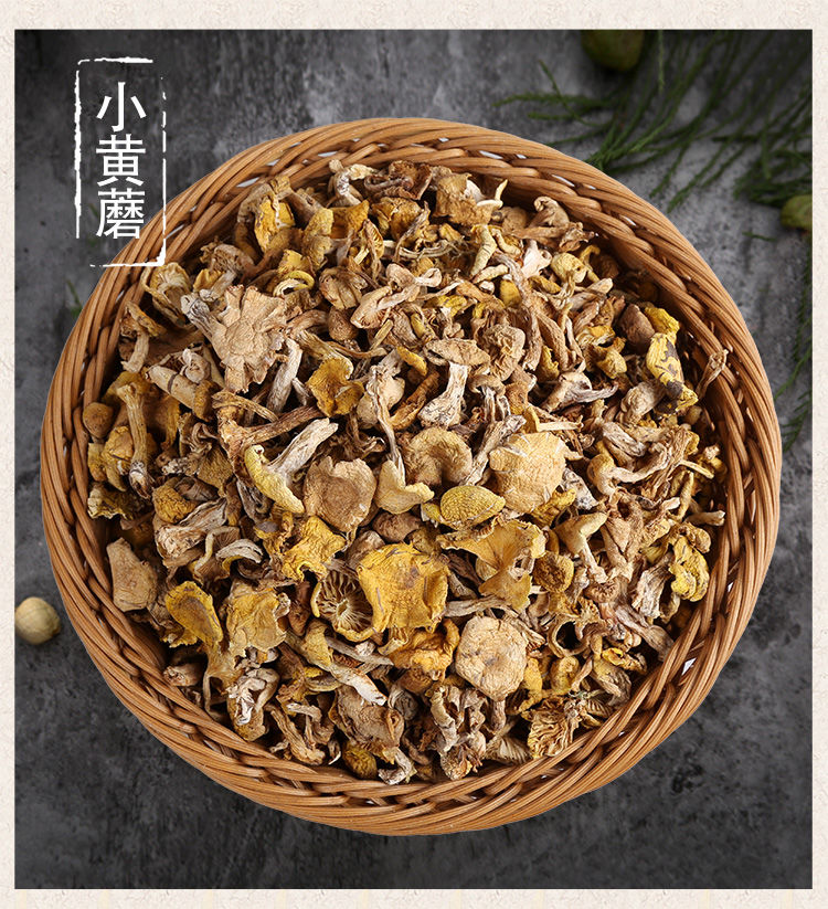 祁连黄蘑菇多规格东北特产小黄蘑松树黄油菌榆黄蘑小鸡炖蘑菇干货小