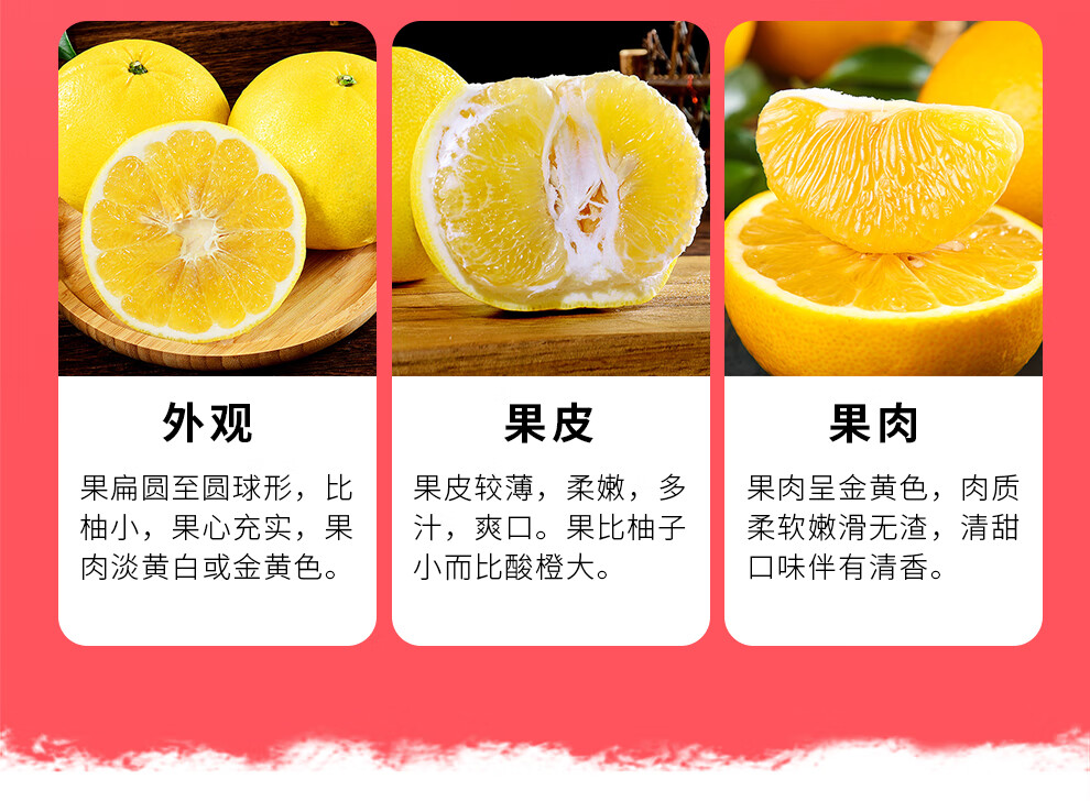 黄金葡萄柚甜柚子新鲜水果产地直发5斤净重大果