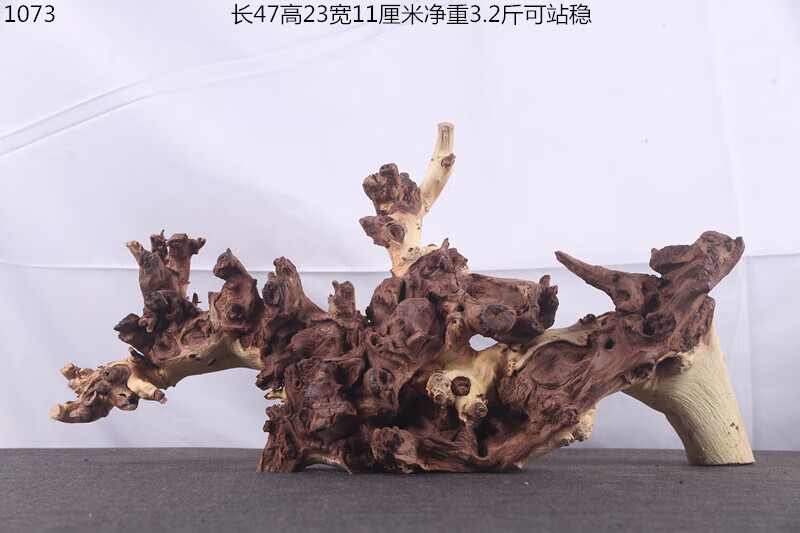 8f236b09d6cd0045.jpg