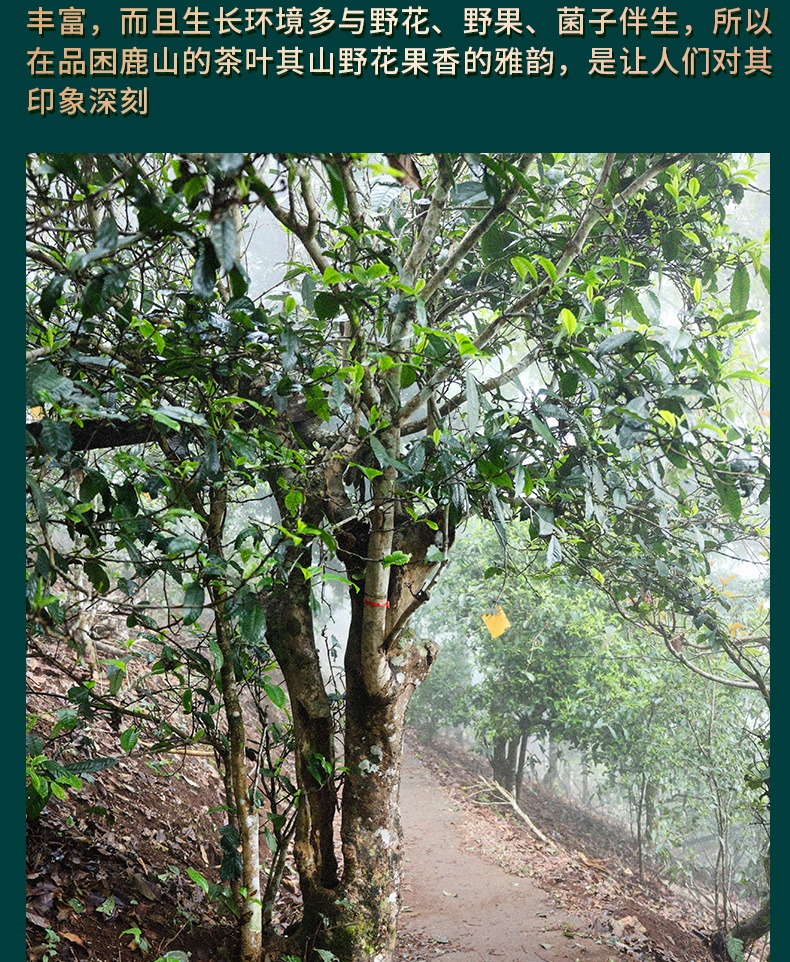 3acb8566d5c53613.jpg