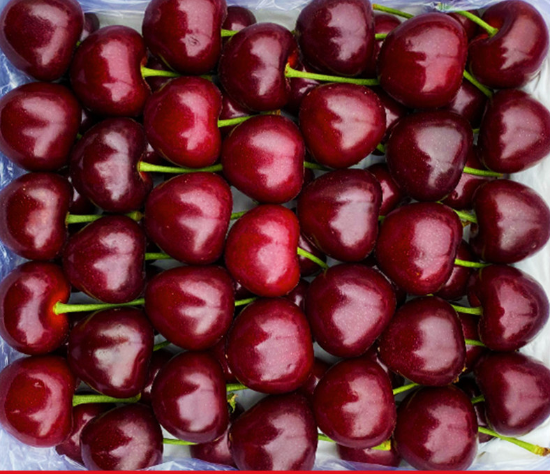 新鲜当季车厘子2斤3斤应季当季樱桃生鲜水果1500gjjj