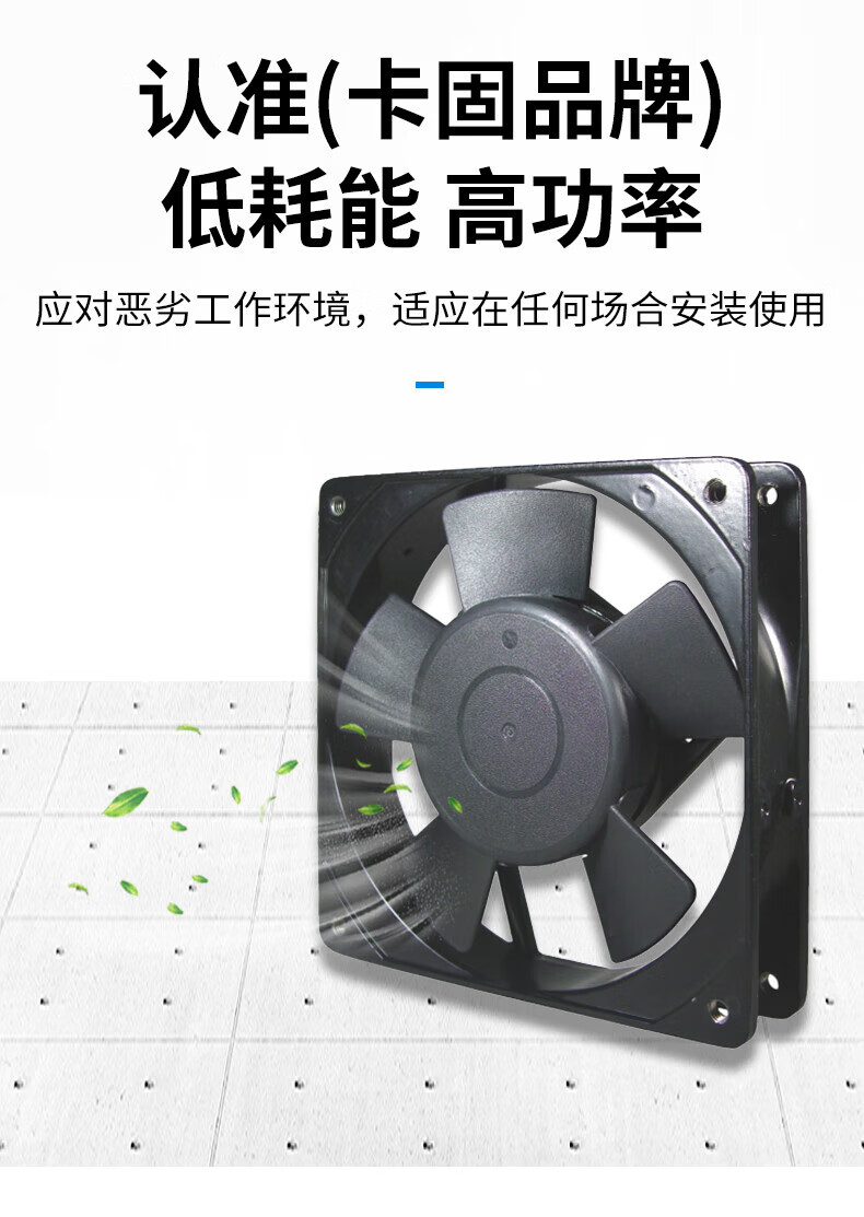 aced4ccdbee2f419.jpg