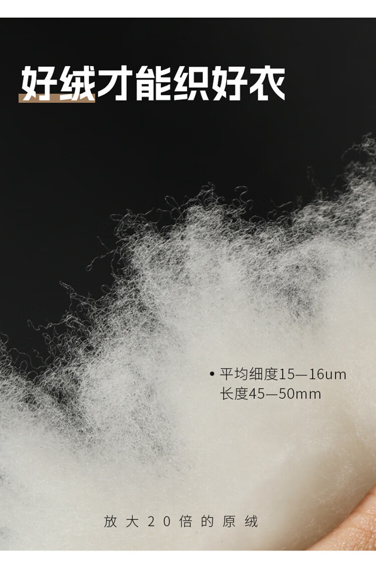 446be5619facd3a0.jpg