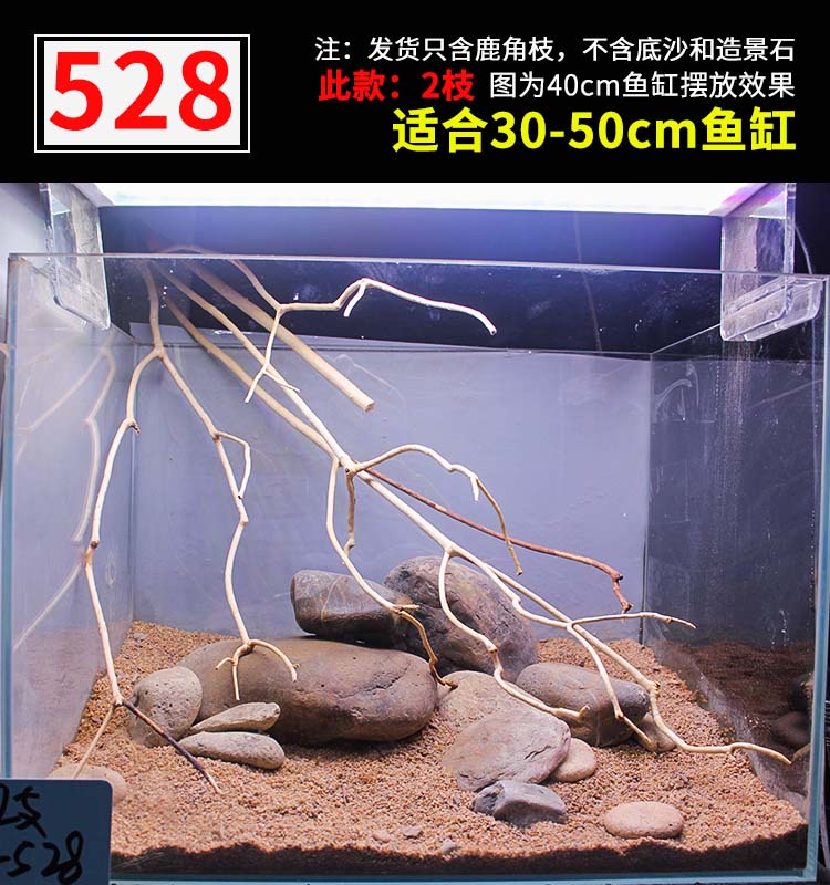 8f1b5507d98f0dd5.jpg